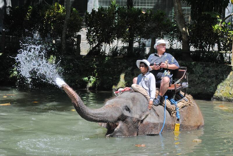 Elephant Spraying Water Two People Riding In River