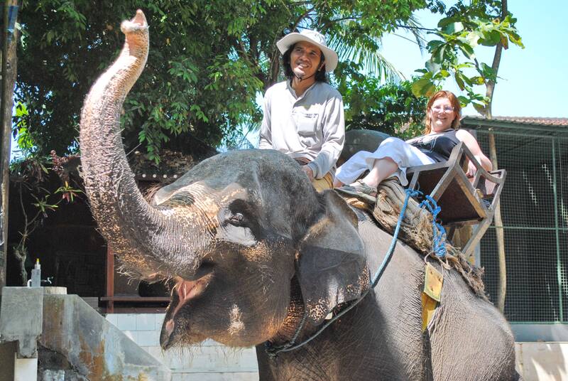 Elephant With Rider And Tourist In Safari Hat