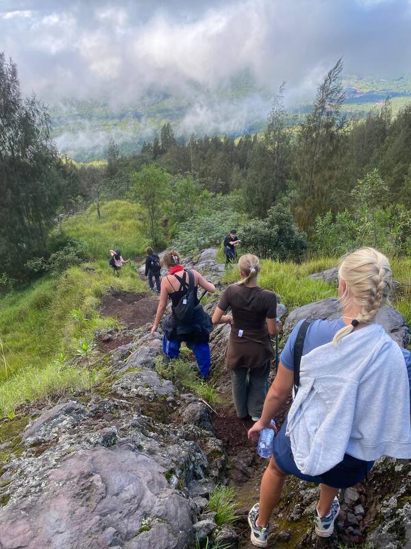 Group Hikers Descending Mountain Rocky Path Foggy Forest