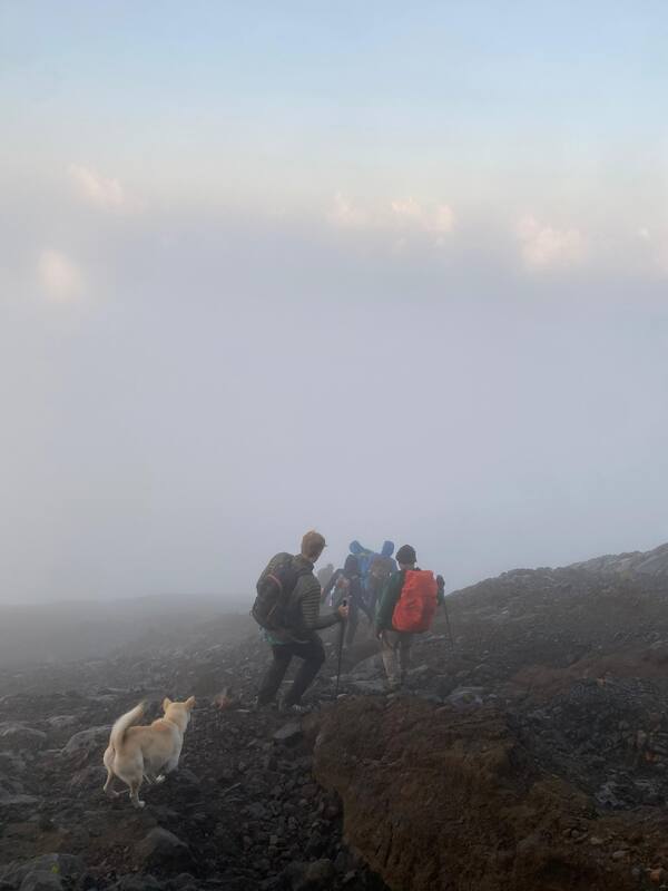 Hikers And Dog Traversing Misty Rocky Mountain Path
