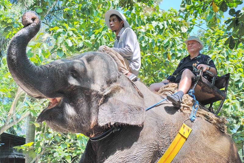 Man And Guide Riding Elephant In Tropical Forest Tourism