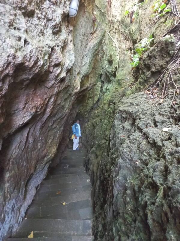 Narrow Stone Stairs Between Cliffs Forest Hiker