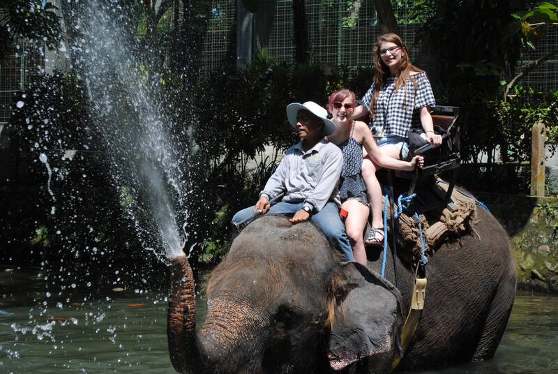People Riding Elephant Spraying Water In Pond Outdoor