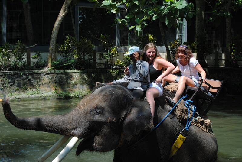 People Riding Elephant Tusks Water Park Sunny Day