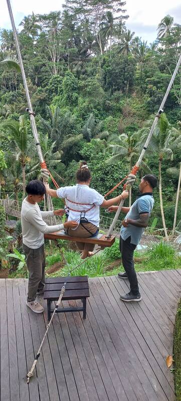 Person On Large Swing With Two Guides Tropical Forest Background