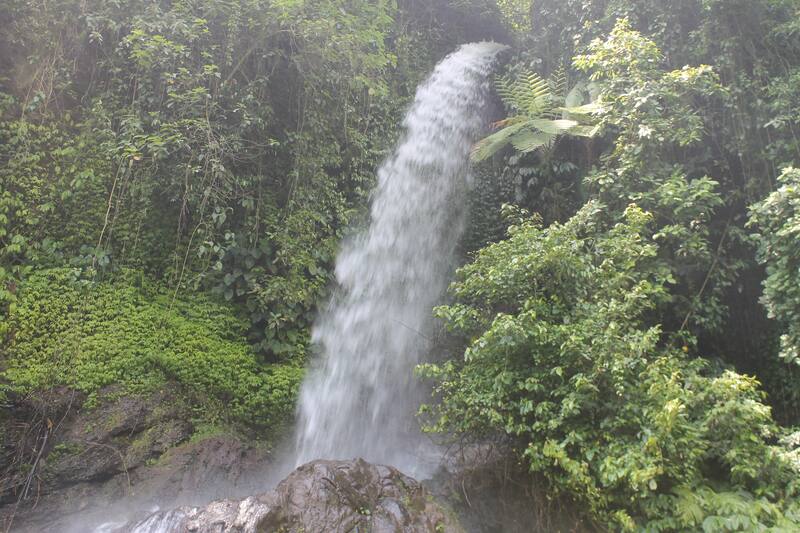 Tropical Waterfall Flowing Rocks Dense Green Foliage